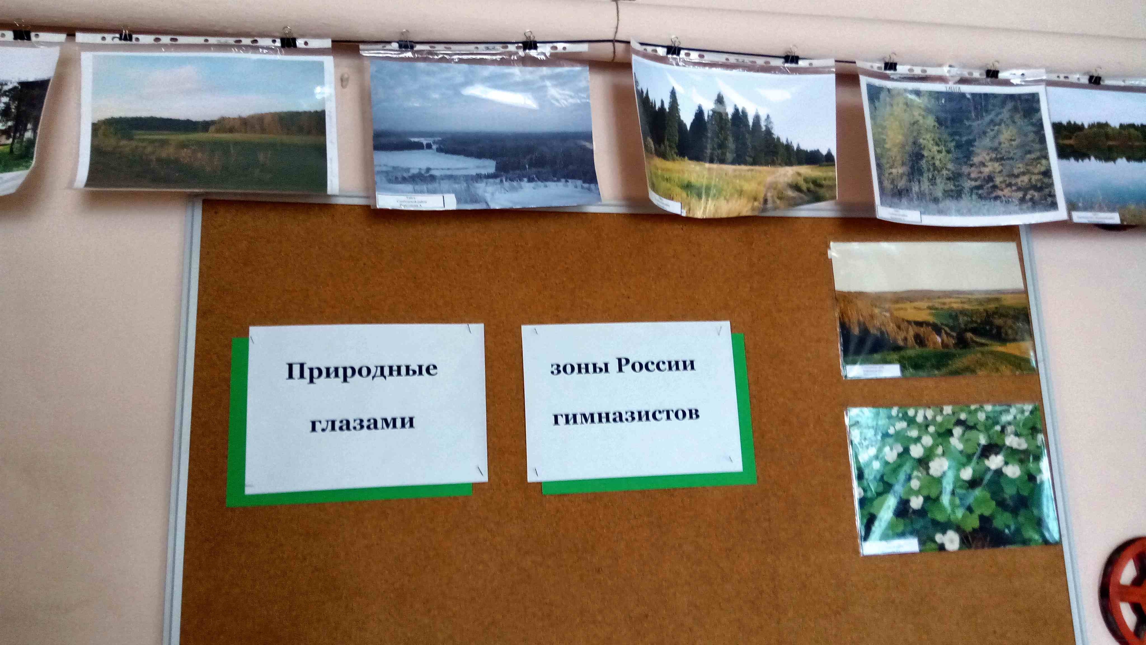 Картинка к материалу: «Природные зоны России глазами гимназистов»