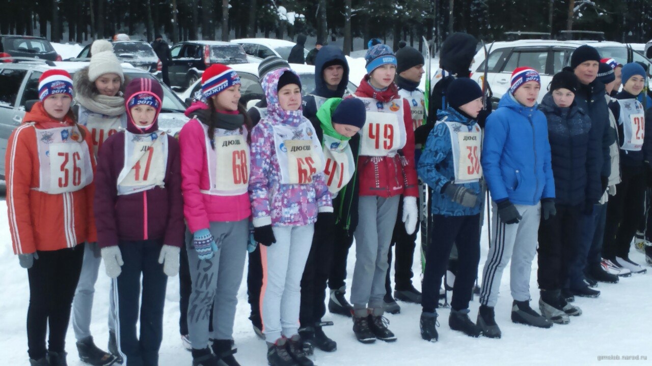 Картинка к материалу: «Фестиваль ГТО - лыжные гонки»